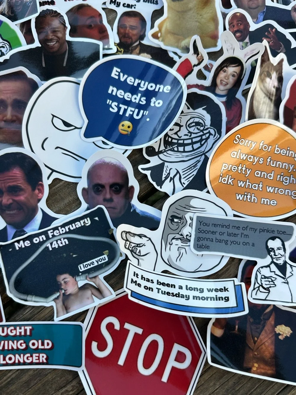 BUY NOW 50 Pc Random Mix Funny/Snarky Meme Waterproof Stickers